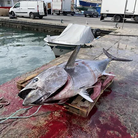 Ewa - 3-bed Near - St Julians Seafront *